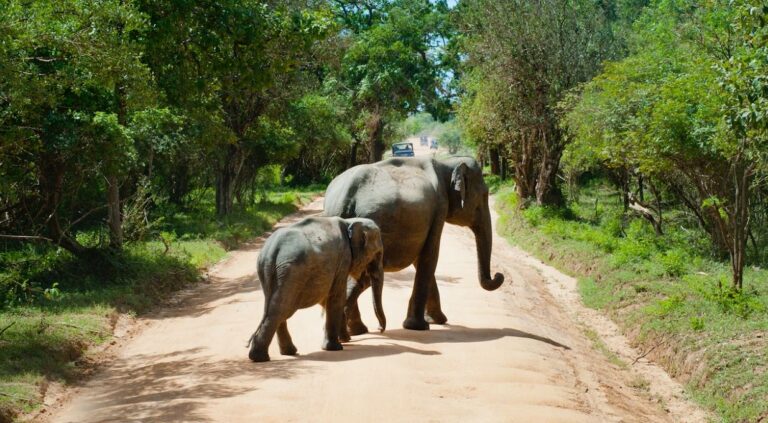 7 Best Zoo Centers In Lagos