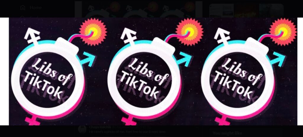 libs of tiktok