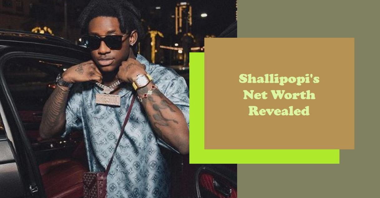 Shallipopi Net Worth