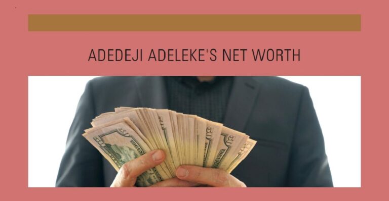 Adedeji Adeleke Net Worth