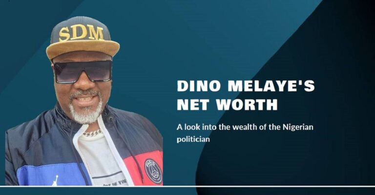 Dino Melaye Net Worth 2024