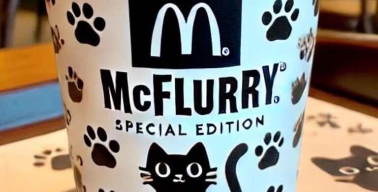 McDonald Black Cat McFlurry