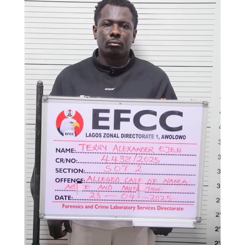 Court sends Terry Apala to Ikoyi Prison for Naira abuse