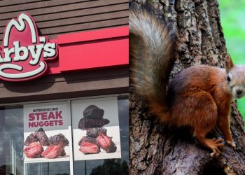 Arby’s Steak Nuggets