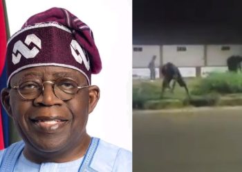 tinubu benue visit