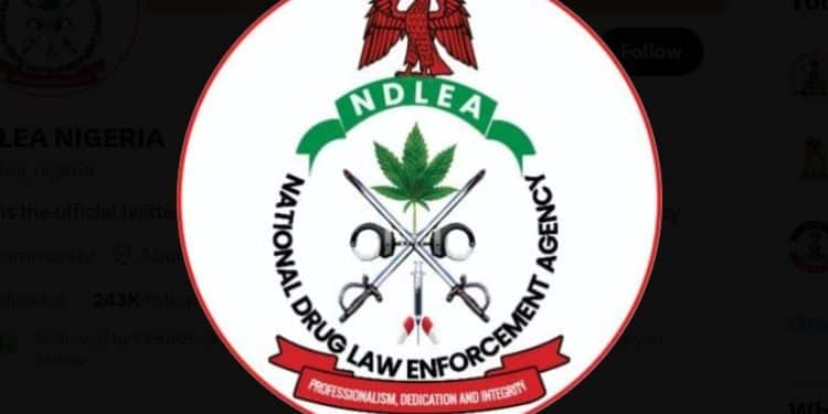 NDLEA logo