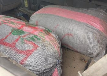 Lagos Police Recover Toyota Sienna with Suspected Cannabis in Ojo Stop-and-Search