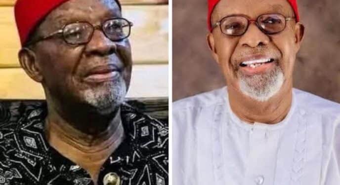 Nollywood Mourns as Veteran Actor Fabian Adibe Dies at 82