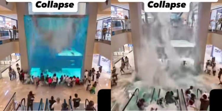 california aquarium collapse