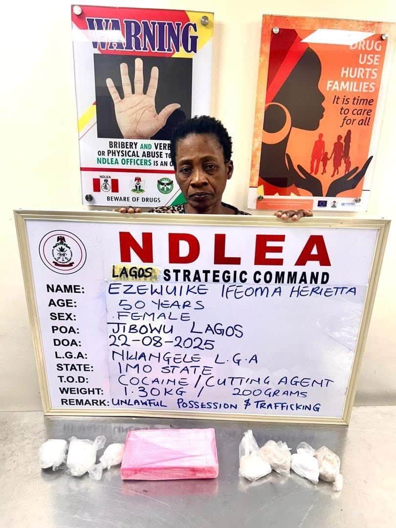 ndlea arrest