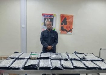 NDLEA Busts Drug Smuggling Ring