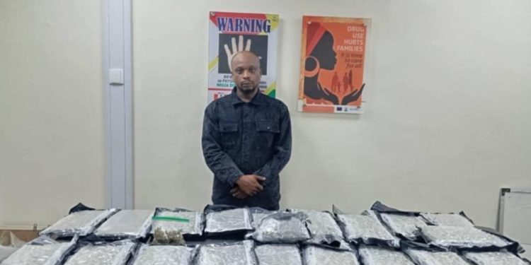 NDLEA Busts Drug Smuggling Ring