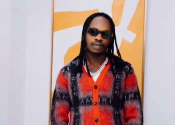 Fan Attacks Naira Marley on Stage During Cotonou Concert [VIDEO]