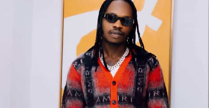 Fan Attacks Naira Marley on Stage During Cotonou Concert [VIDEO]