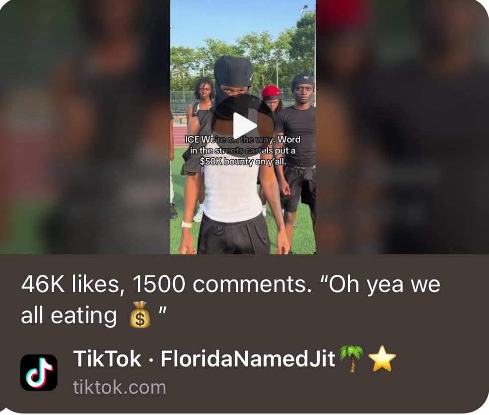 Screenshot of doctored TikTok video by FloridaNamedJitt showing alleged threats to ICE agents