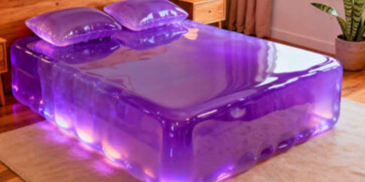jelly beds