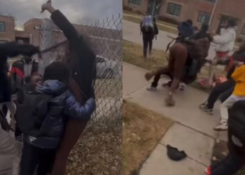 Orville T. Bright Elementary School building exterior on the Far South Side of Chicago.