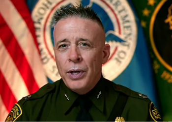 Border Commander Greg Bovino discusses CDL license fraud involving illegal immigrants beside a semi-truck on highway.