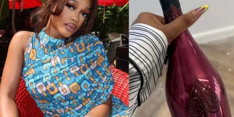 Diana Eneje Laments After Painter Drinks ₦950K Champagne, Hides Bottle in Her Closet