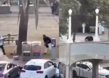 Bondi Beach Mass Shooting 10 Dead Multiple Victims Injured