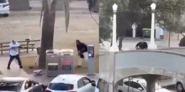 Bondi Beach Mass Shooting 10 Dead Multiple Victims Injured