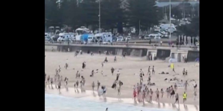 Bondi Beach Shooting Victims: Names and Stories of Those Killed in Sydney Terror Attack