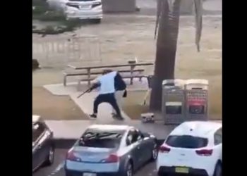 Bondi Hero's Cousin Speaks: Ahmed al Ahmed Disarms Gunman