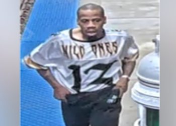 CTA Orange Line Armed Robbery: Police Search for Suspect