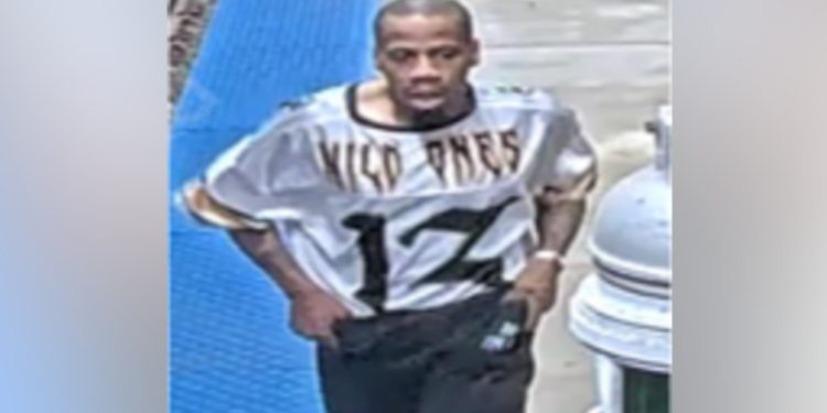 CTA Orange Line Armed Robbery: Police Search for Suspect