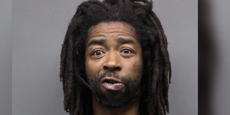 Chicago Man Charged with Attempted Murder for Punching Senior onto Blue Line Tracks