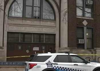 Chicago Police Charge Seven Minors in Mother-Son Beating