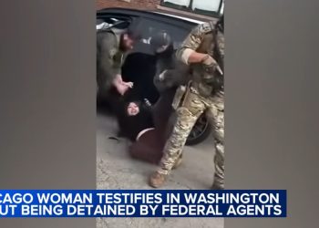 Chicago Woman Testifies in D.C. About Viral Video Detainment by Federal Agents