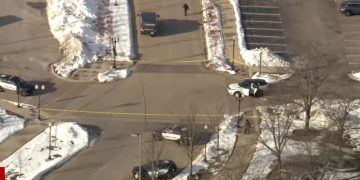 Domestic Incident in Schaumburg Leaves Woman Dead, Police Say