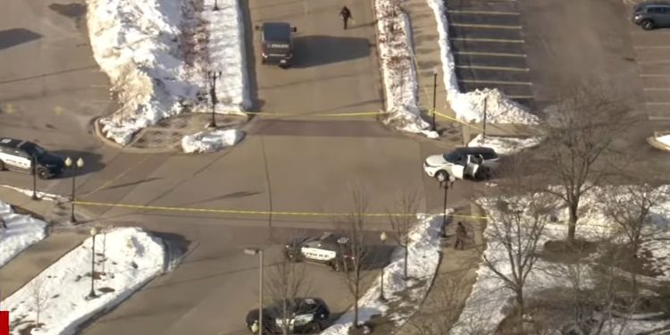 Domestic Incident in Schaumburg Leaves Woman Dead, Police Say