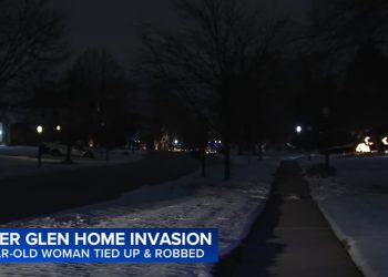 Elderly Woman Ambushed in Homer Glen Garage, Robbers Steal $2K