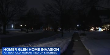 Elderly Woman Ambushed in Homer Glen Garage, Robbers Steal $2K