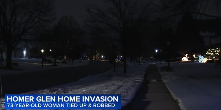 Elderly Woman Ambushed in Homer Glen Garage, Robbers Steal $2K