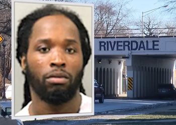 FBI Chicago Offers $10K Reward for Man Accused of Killing Pregnant Woman