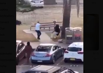 Fact Check: Is Edward Crabtree the Real Bondi Hero?