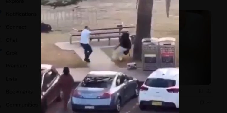 Fact Check: Is Edward Crabtree the Real Bondi Hero?