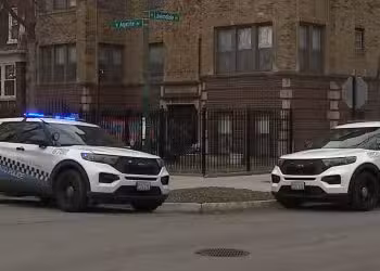 Man Accidentally Shot While Friend Cleans Gun in Albany Park