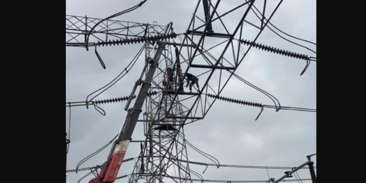 National Grid Collapses Again