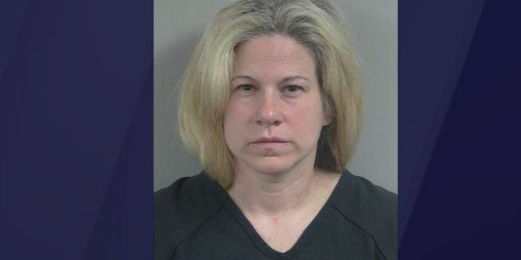 Riverwoods Suitcase Baby: Mother Pleads Not Guilty to Concealment Charges