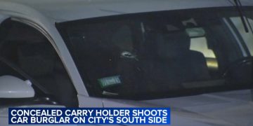 Teen Shot by Gun Owner During Alleged South Side Car Burglary