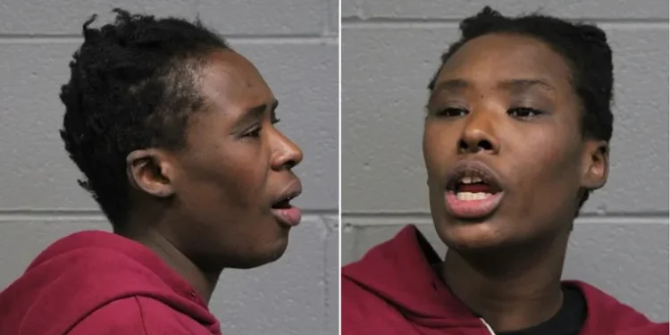 Woman Charged in Quadruple Battery in Chicago Loop