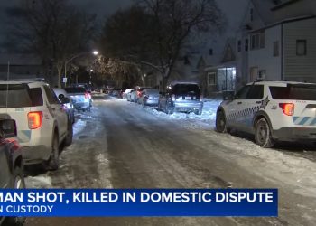 Woman Killed in East Side Domestic Shooting; Man in Custody