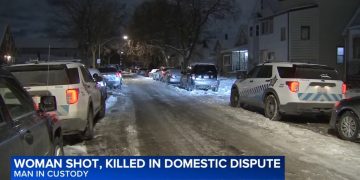 Woman Killed in East Side Domestic Shooting; Man in Custody