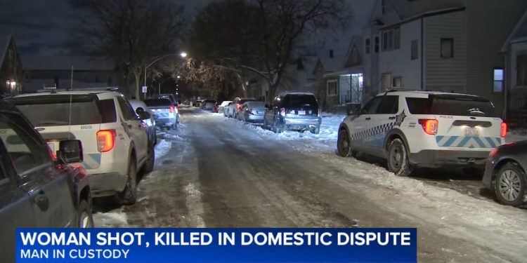 Woman Killed in East Side Domestic Shooting; Man in Custody
