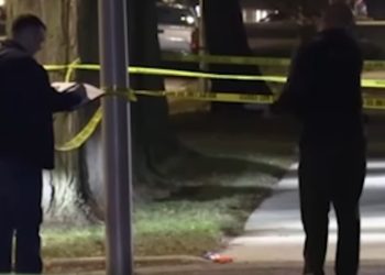 Woman Killed in South Side Alley Shooting