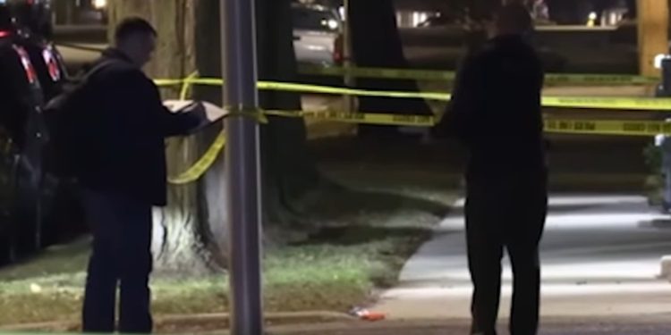 Woman Killed in South Side Alley Shooting